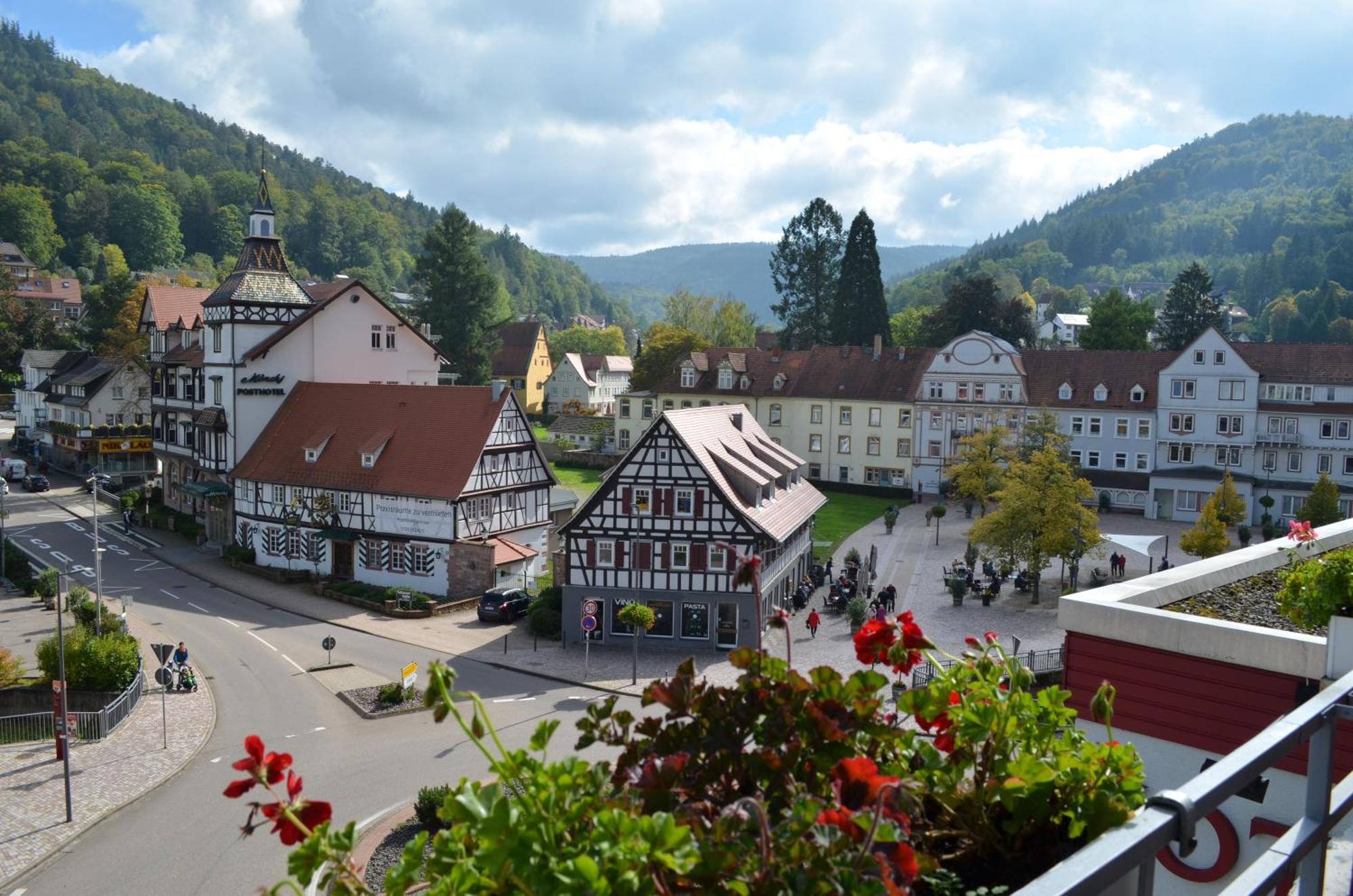 Hotel Harzer Am Kurpark バート・ヘレンアプ エクステリア 写真