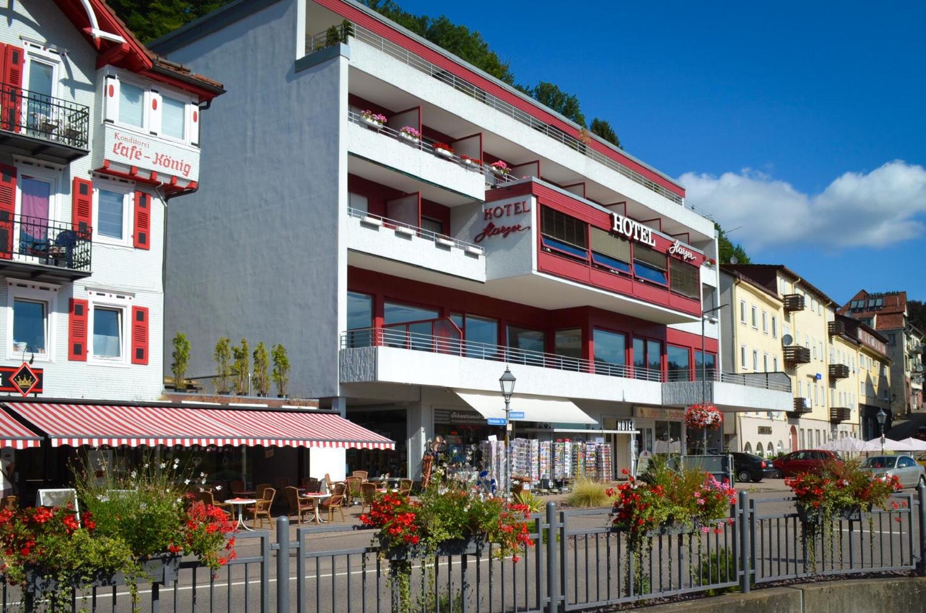 Hotel Harzer Am Kurpark バート・ヘレンアプ エクステリア 写真