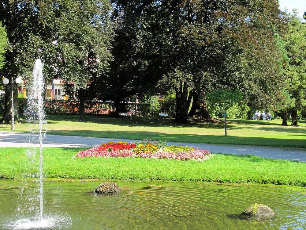 Hotel Harzer Am Kurpark バート・ヘレンアプ エクステリア 写真